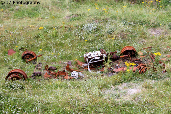 Remember me when I am gone