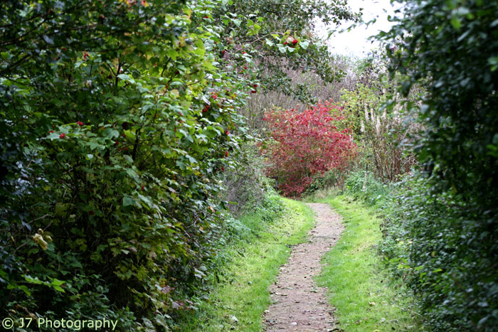 A Long and Winding Road